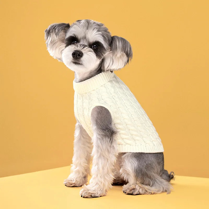 A small, fluffy grey and black dog wearing a cream-colored knit turtleneck sweater.