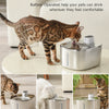 Fuente de Agua Inalámbrica para Gatos con Sensor