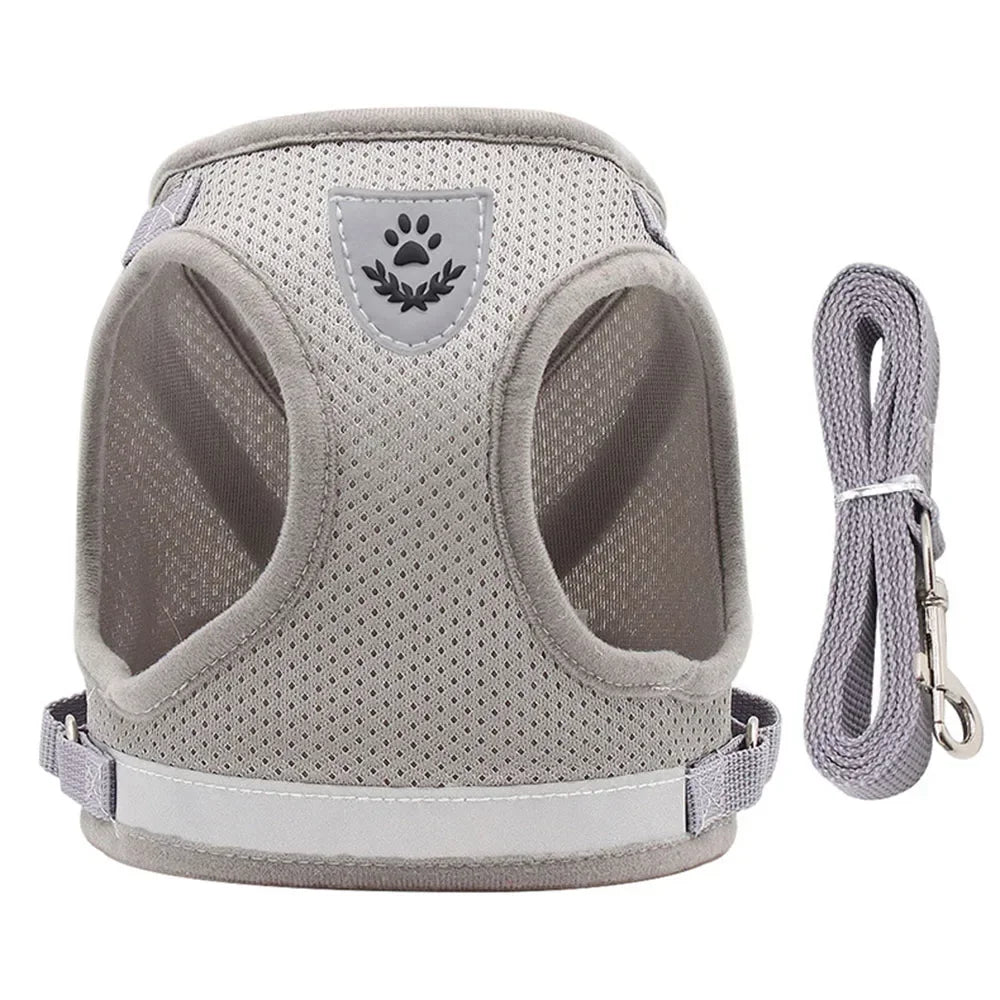Adjustable Escape-Proof Mesh Harness and Leash Set for Cats and Small Dogs