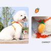 Strawberry Print Dog Harness and Leash Set