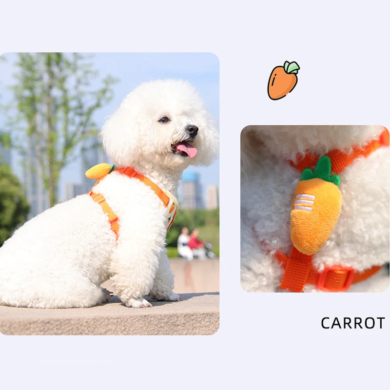 Strawberry Print Dog Harness and Leash Set