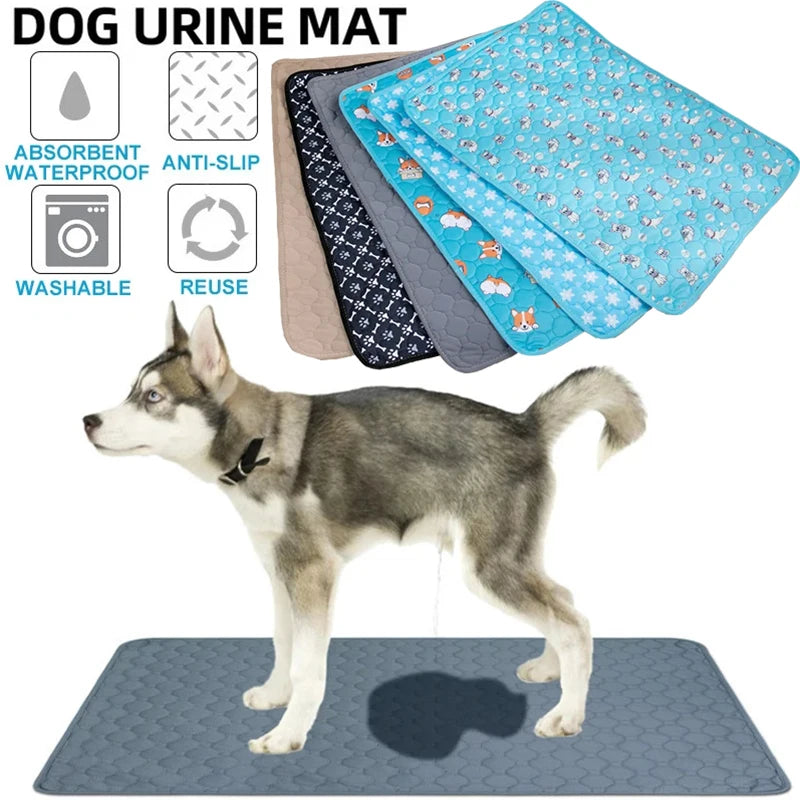 Ein Hund steht auf einer blauen Hundetrainingsmatte mit saugfähigen und rutschfesten Eigenschaften.