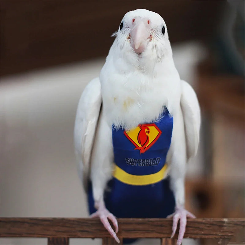 Traje de Vuelo Reutilizable para Loro de Algodón