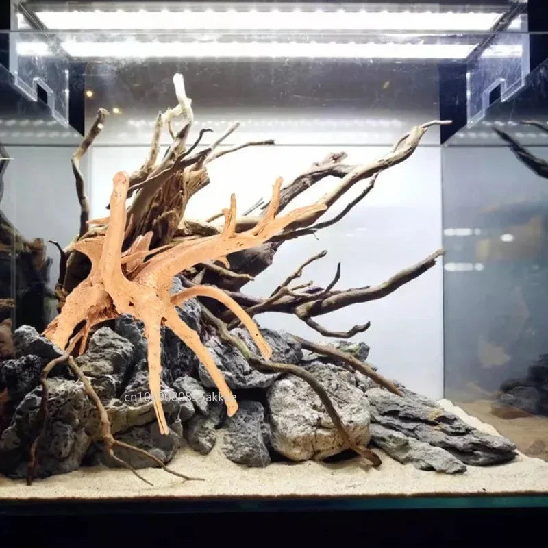 Natural driftwood branches displayed in a glass aquarium or terrarium setting.