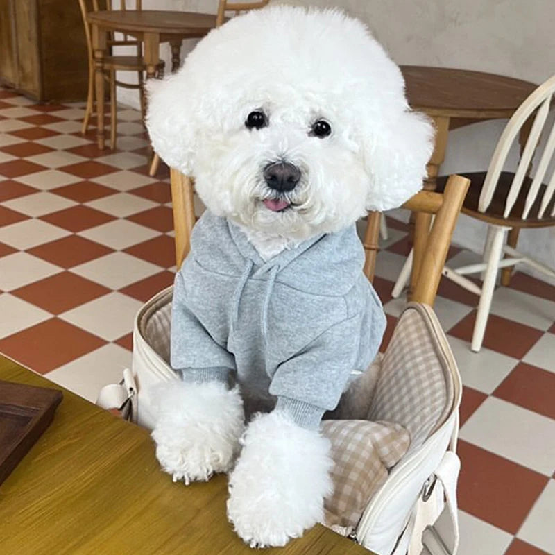 Un chien blanc et duveteux portant un sweat à capuche gris en polaire, assis sur une table en bois.