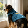 A black and brown dog wearing a teal cozy turtleneck vest with a yellow bear patch.