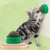 An der Wand befestigtes Katzenminze-Ballspielzeug