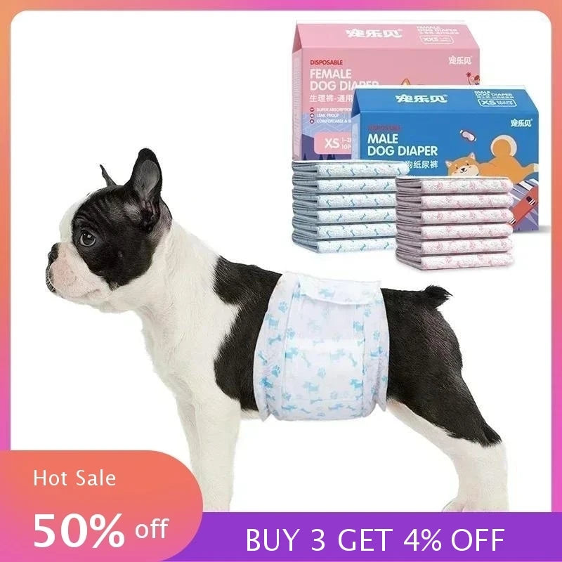 A white and black dog wearing a disposable diaper, with a box of dog diapers in the background.