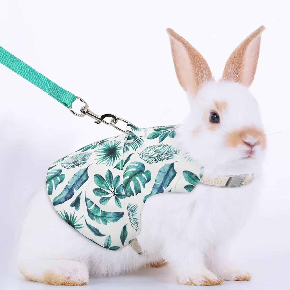 A white rabbit wearing a green and white patterned harness vest with a silver leash.