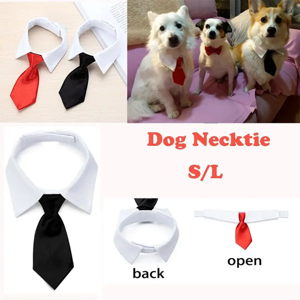 Corbata y Pajarita Formal para Mascotas