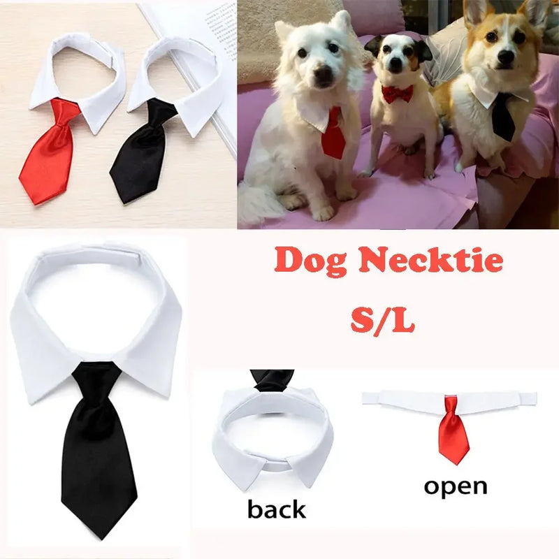 Corbata y Pajarita Formal para Mascotas