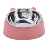 Ergonomic Stainless Steel Pet Food Bowl with Tilted Design