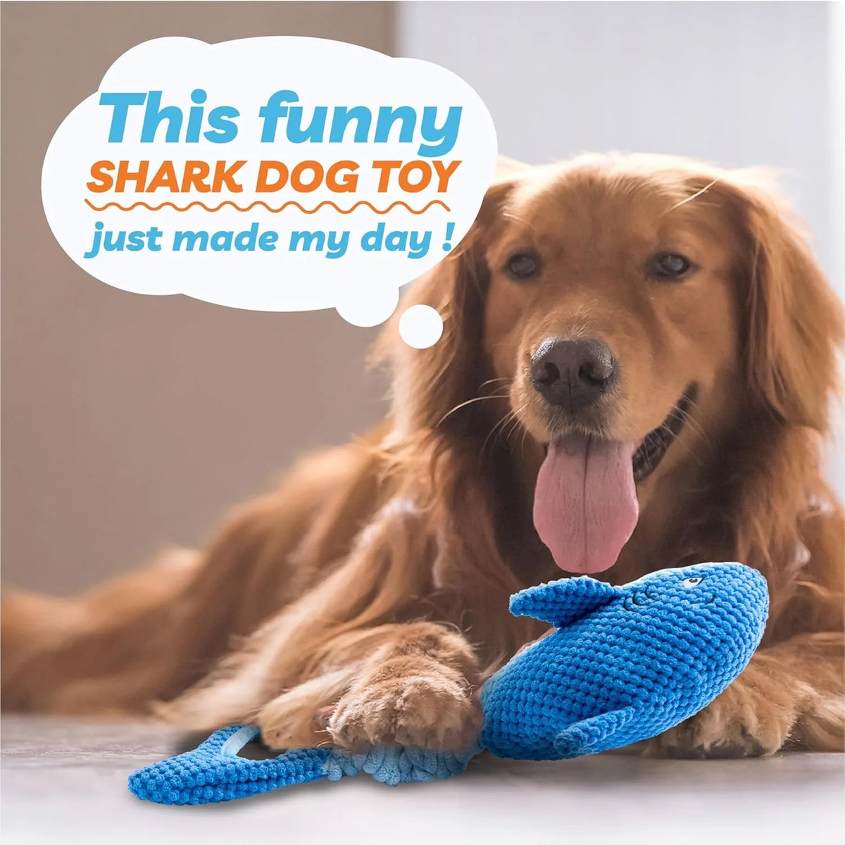 A golden retriever dog is lying down next to a blue shark chew toy.