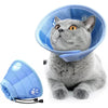 Eine graue Katze mit einem hellblauen, verstellbaren Tier-Recovery-Halsband.