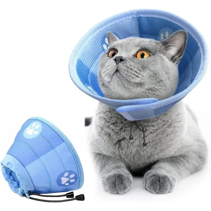 Eine graue Katze mit einem hellblauen, verstellbaren Tier-Recovery-Halsband.