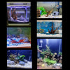 Natural Aquarium Driftwood Tree Stump Decor for Fish Tanks and Reptile Habitats