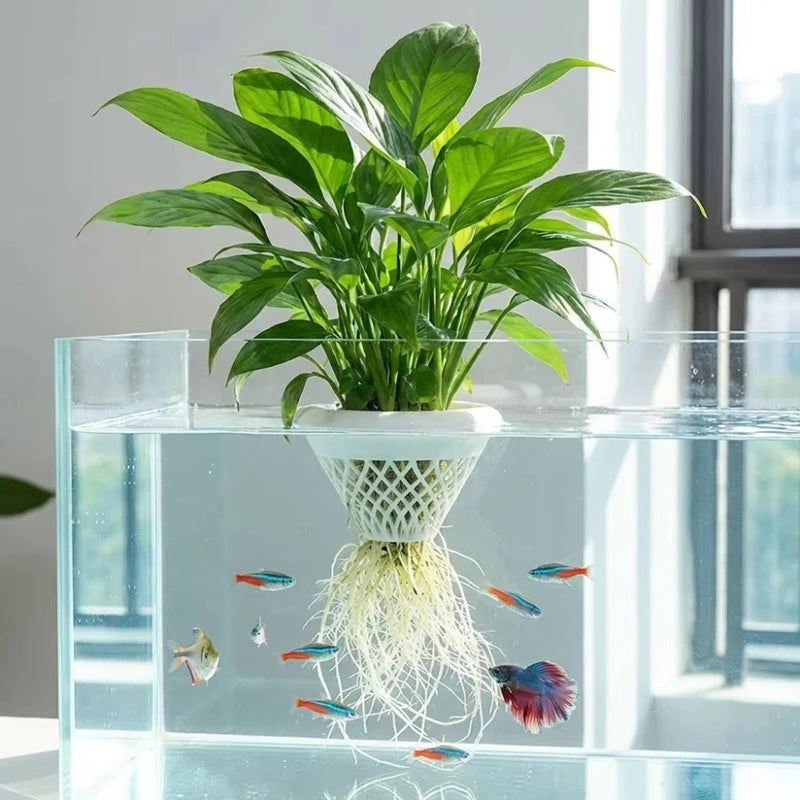 A vibrant green aquatic plant with roots is displayed in a clear glass aquarium tank.