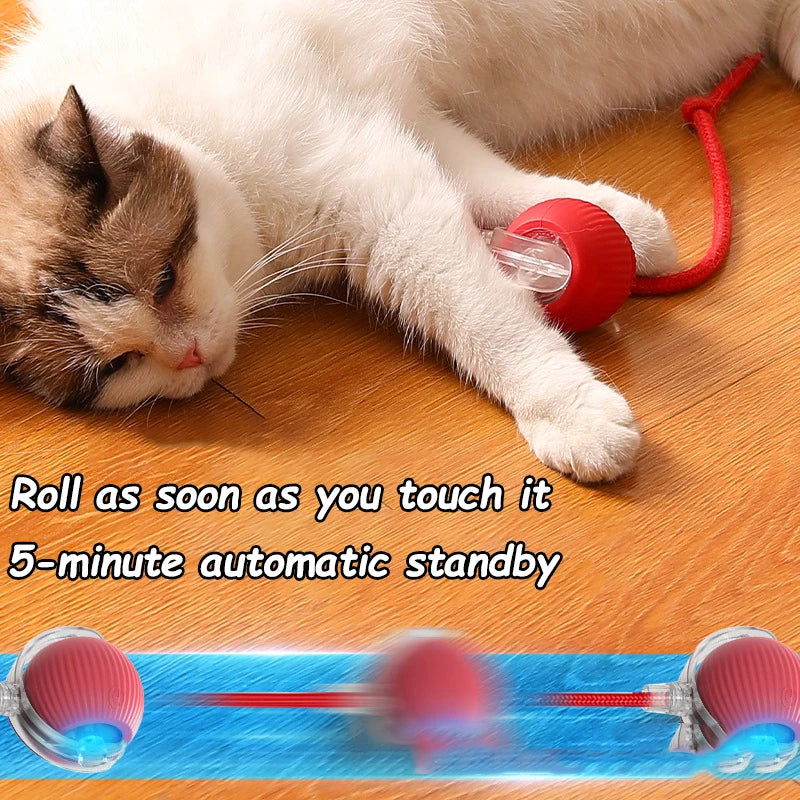 Interactive Rolling Cat Toy with Faux Tail