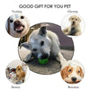 Interactive Rubber Dog Toy Ball with Treat Dispenser