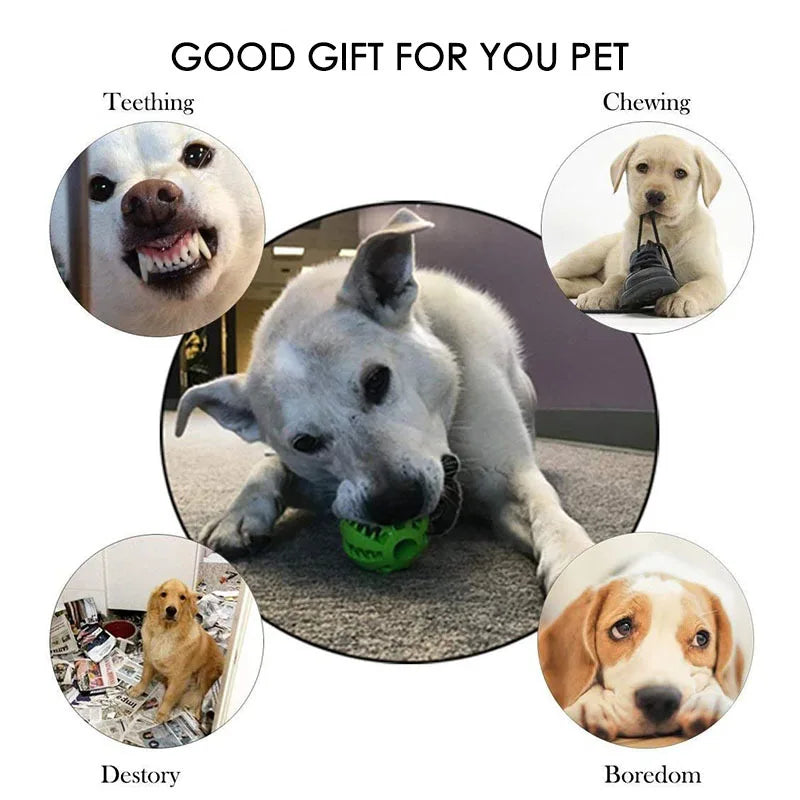 Interactive Rubber Dog Toy Ball with Treat Dispenser