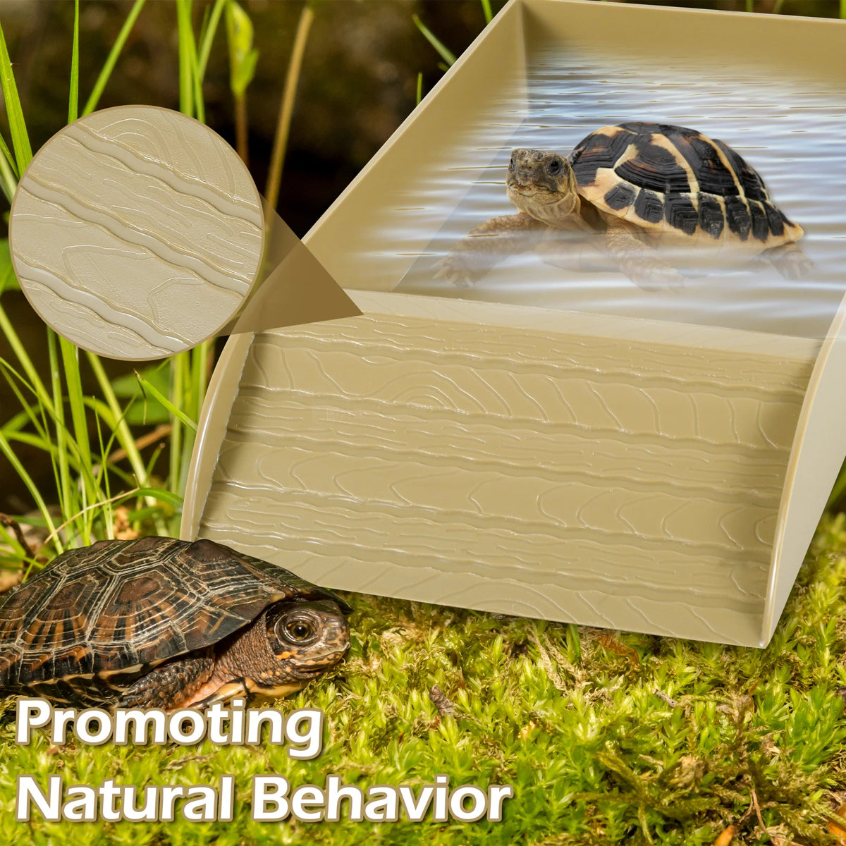 Reptile Food and Water Bowl with Anti-Slip Ramp