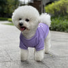 A fluffy white dog wearing a purple cotton vest standing outdoors.