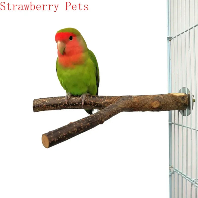 Un pequeño loro verde y rojo posado en una rama de madera natural.