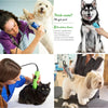 A woman is using a professional detachable ceramic pet clipper blade on a dog and a cat.