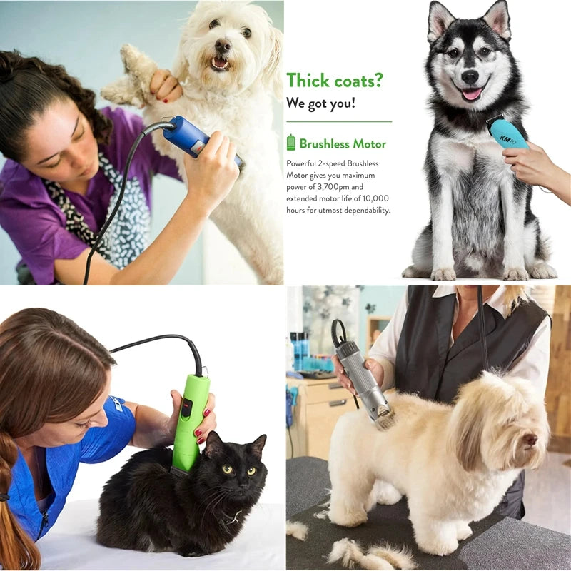 A woman is using a professional detachable ceramic pet clipper blade on a dog and a cat.