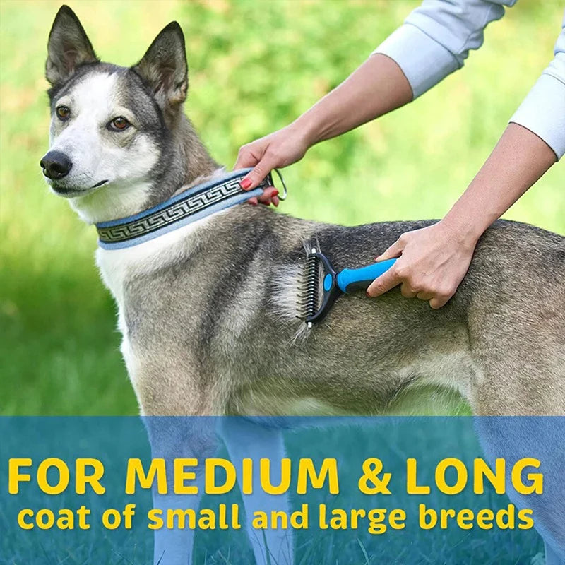 Une personne utilise un peigne à la peau pour brosser le dos d'un husky.