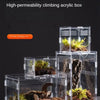 A clear acrylic climbing box terrarium filled with moss and substrate for reptiles.