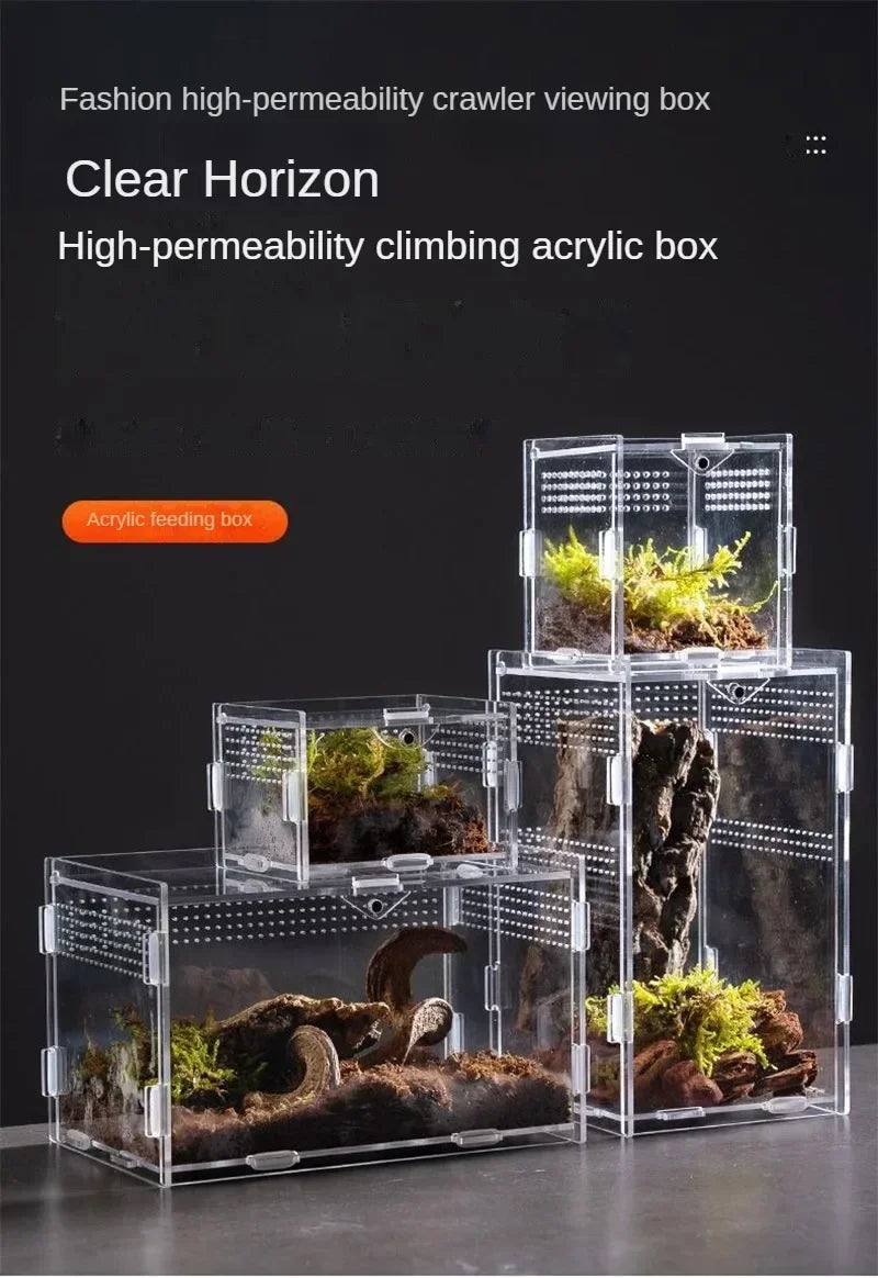 A clear acrylic climbing box terrarium filled with moss and substrate for reptiles.