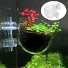 Acrylic Aquarium Plant Cup with Suction Holder