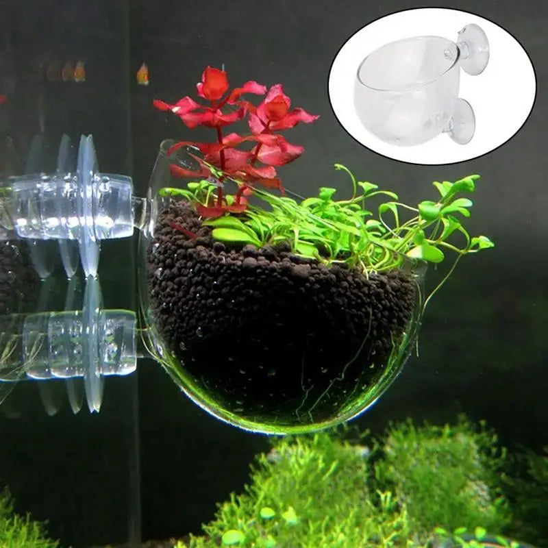 Acrylic Aquarium Plant Cup with Suction Holder
