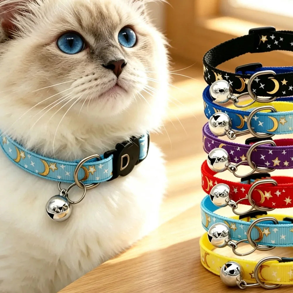 A fluffy white cat wearing a blue collar adorned with stars and moons.