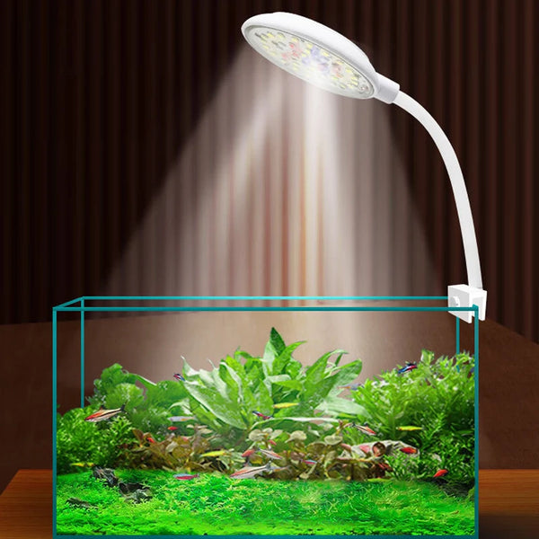 ضوء LED أبيض مثبت يُنير عرض نبات مائي أخضر زاهٍ في حوض زجاجي.