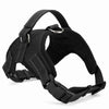 Black breathable nylon dog harness with quick-release buckles.