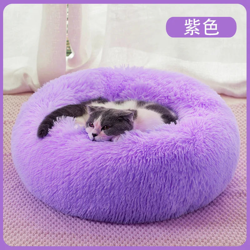 A purple plush round pet bed with an anti-slip base, featuring a small gray and white kitten resting inside.