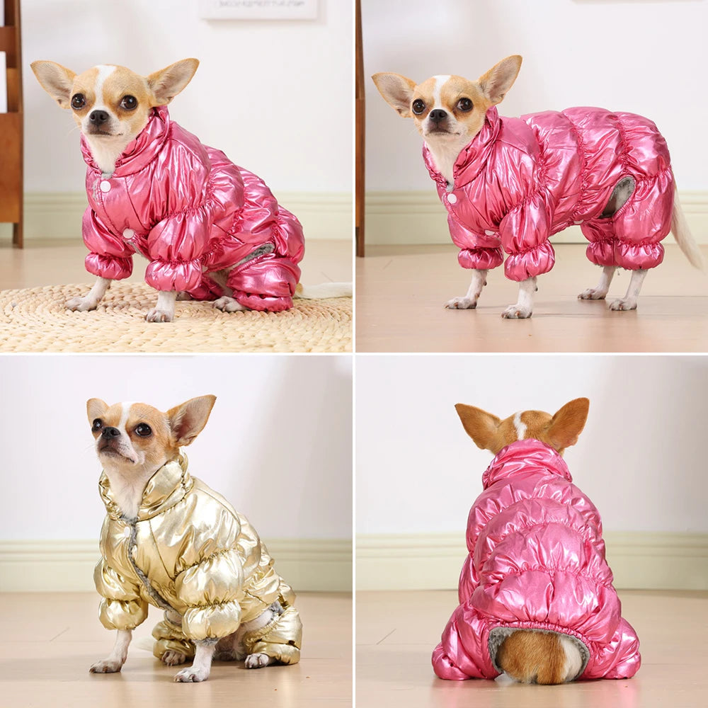 A chihuahua wearing a pink waterproof fleece-lined jumpsuit, shown in multiple poses.