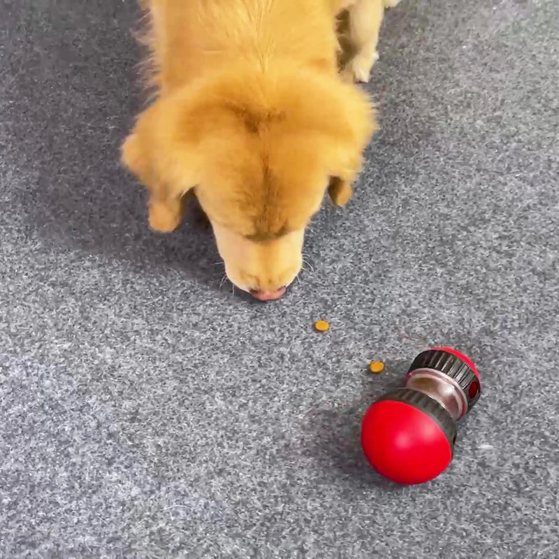 Jouet Distributeur de Friandises Interactif pour Chien