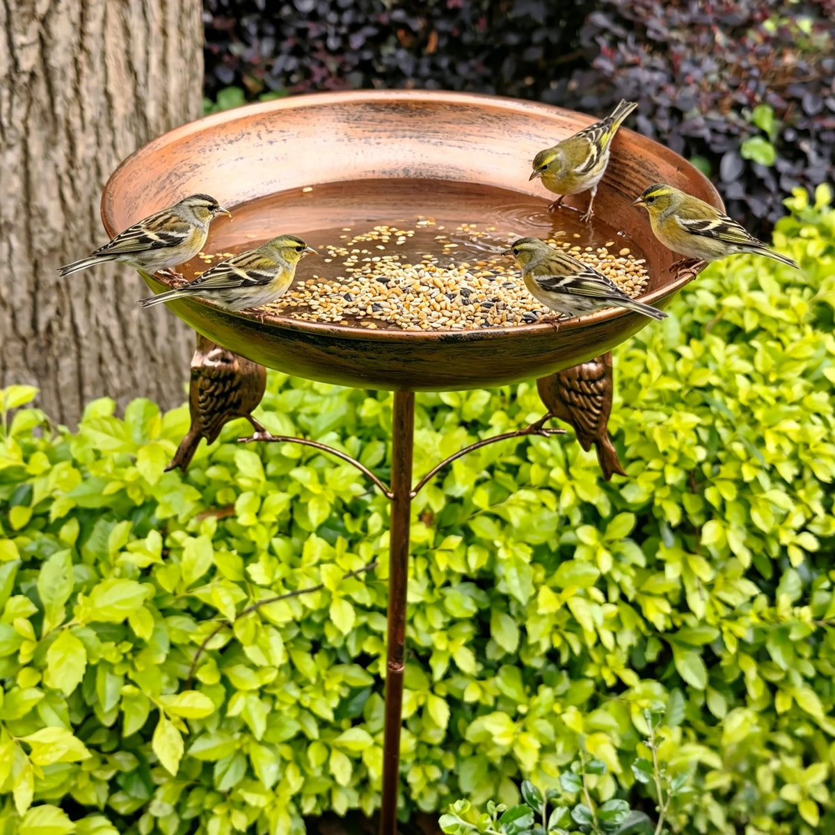 Vintage Copper Bird Bath and Feeder with Five Stable Legs