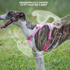 A dog wearing a pink harness is shown outdoors, demonstrating an ergonomically shaped fit for the pet's body.
