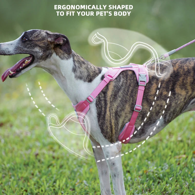 A dog wearing a pink harness is shown outdoors, demonstrating an ergonomically shaped fit for the pet's body.
