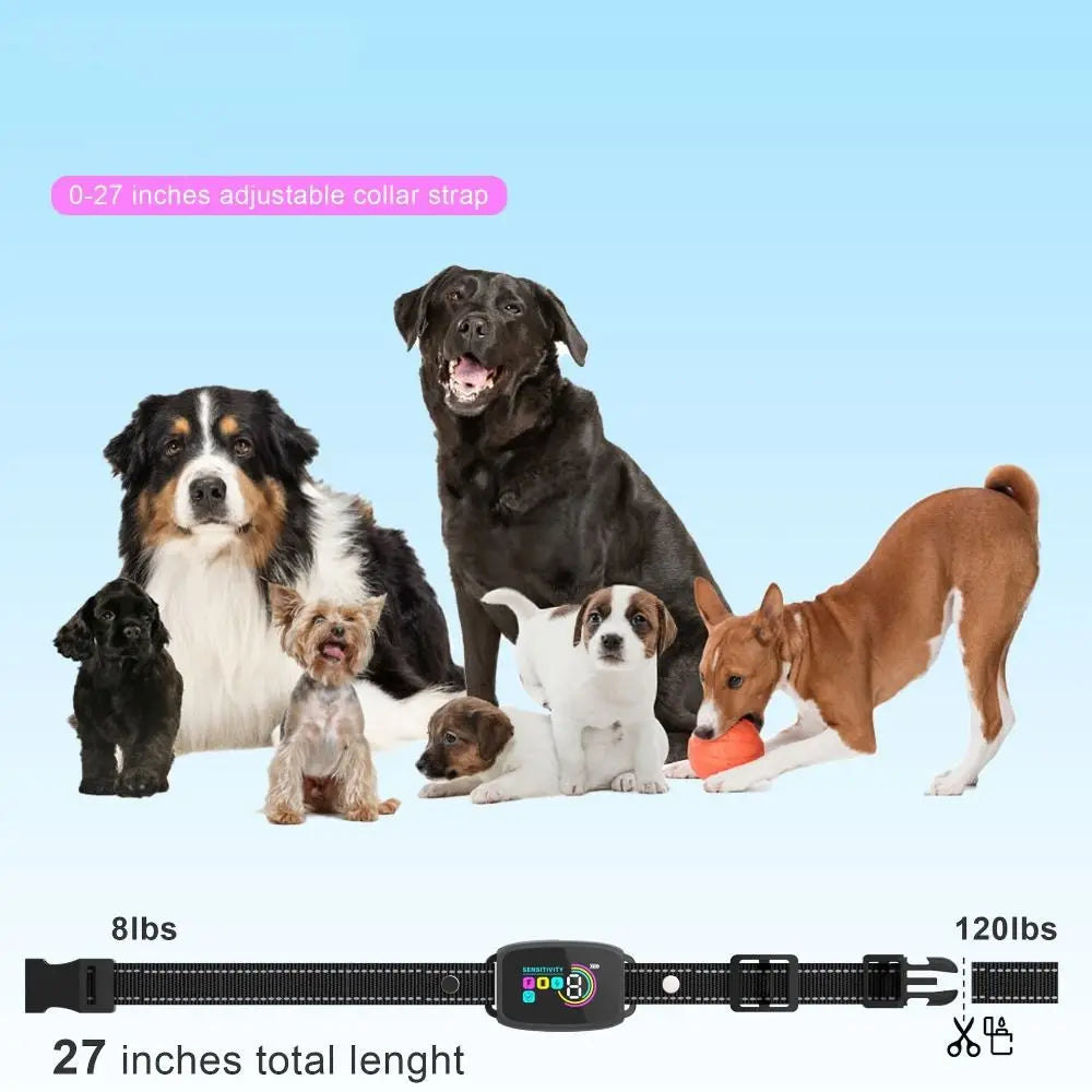 A dog bark collar is shown with various dogs, including a black Labrador and small dogs, demonstrating its use for training.