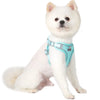Dog Harness Leash Set with Reflective Strap for Small and Medium Dogs
