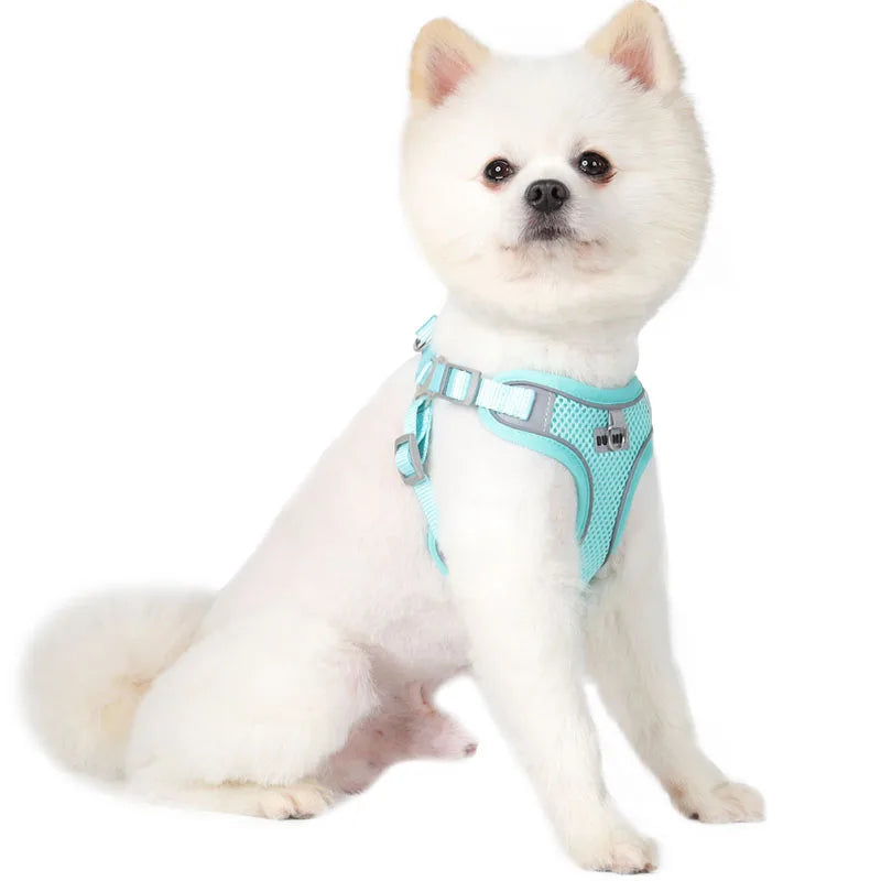 Dog Harness Leash Set with Reflective Strap for Small and Medium Dogs
