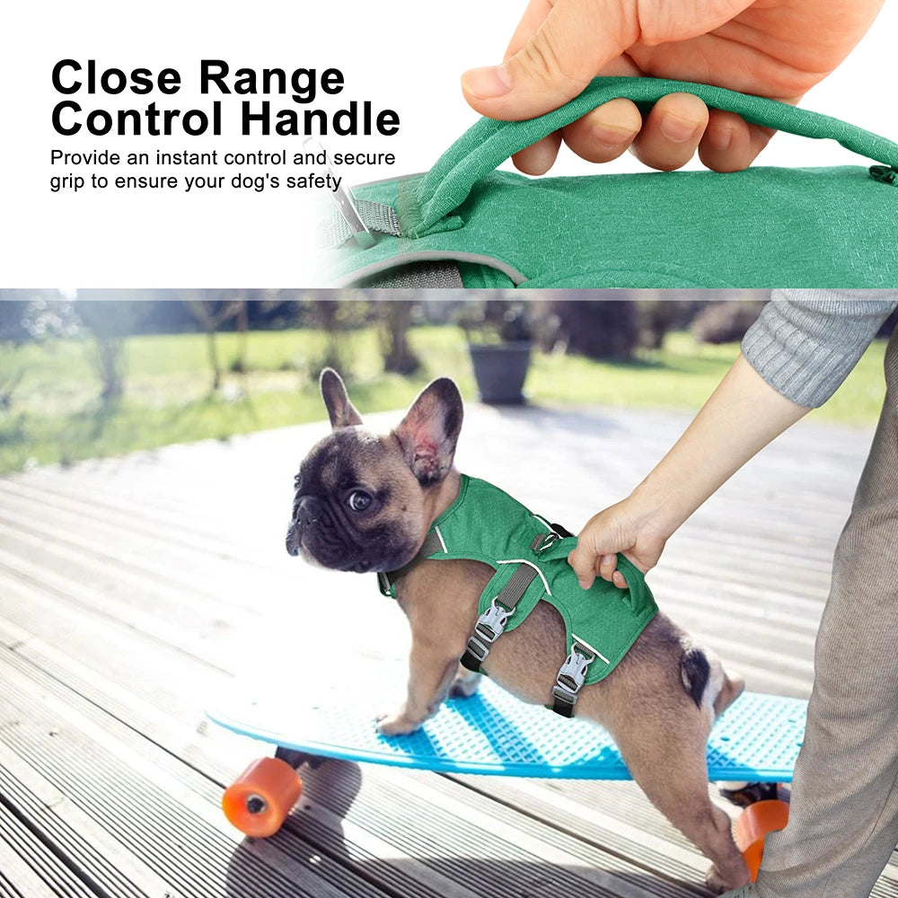 Eine Hand hält ein grünes Hundegurt mit einem Nahbereichs-Kontrollgriff auf einem Hund.