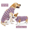 Breathable Dog Recovery Suit for Post-Surgery Protection