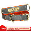 Personalisierte gepolsterte Leder-Hundehalsband mit graviertem Namensschild