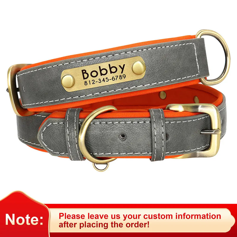 Personalisierte gepolsterte Leder-Hundehalsband mit graviertem Namensschild